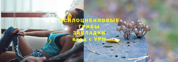 прущая мука Коряжма