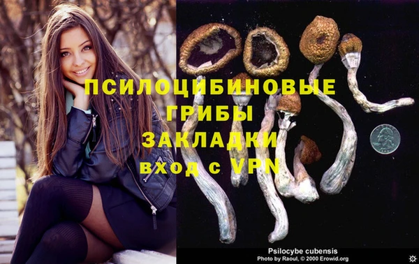 гидропоника Костерёво
