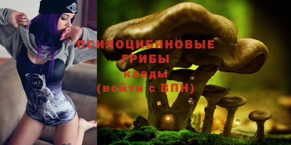прущая мука Коряжма