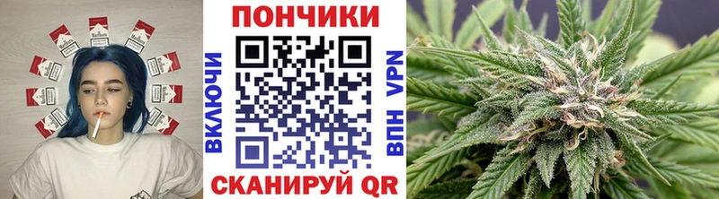 Бошки Шишки SATIVA & INDICA  Купить закладки  Котовск 